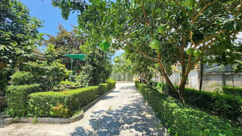 Phuoc Homestay Hue (4)